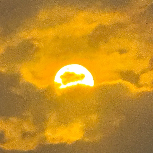 Meet your Posher, Diane - Picture 1 of 1